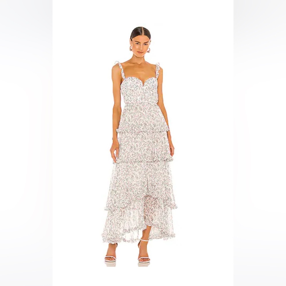 Sau Lee Peyton Maxi Dress in Multi gorgeous corset maxi dress
